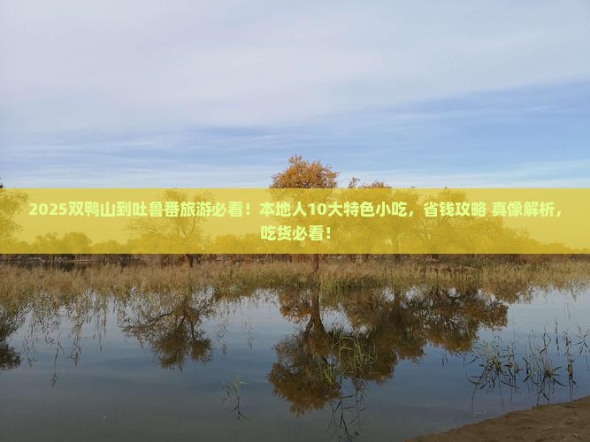 双鸭山到新疆吐鲁番旅游小吃