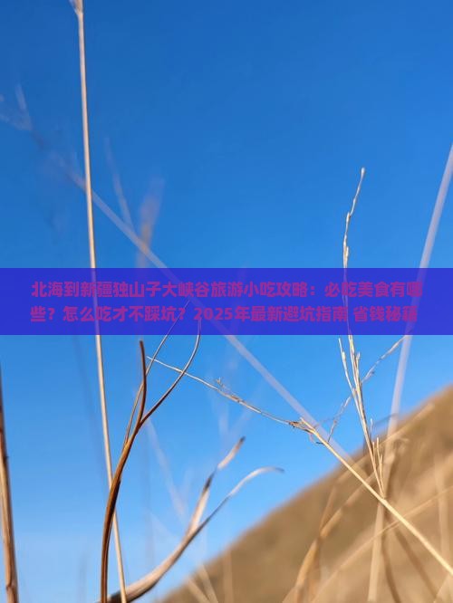 北海到新疆独山子大峡谷旅游小吃