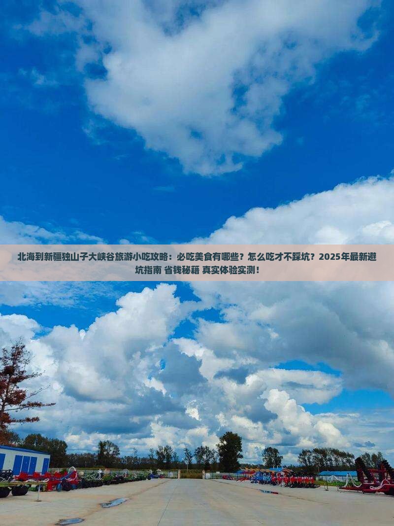 北海到新疆独山子大峡谷旅游小吃