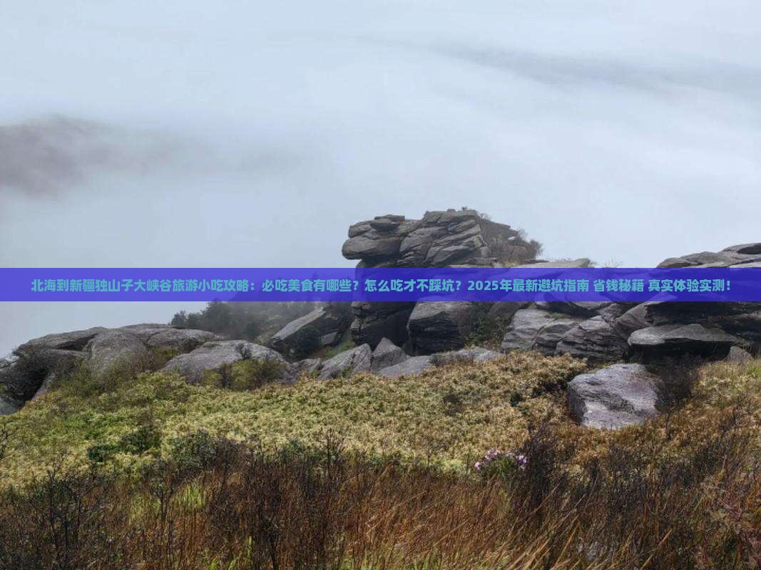北海到新疆独山子大峡谷旅游小吃