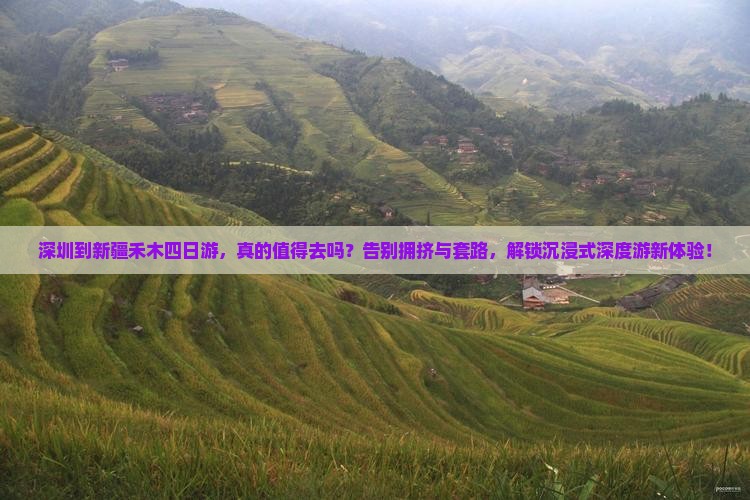 深圳到新疆禾木四日游