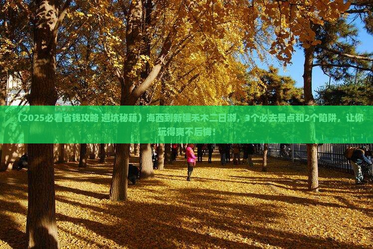 海西到新疆禾木二日游