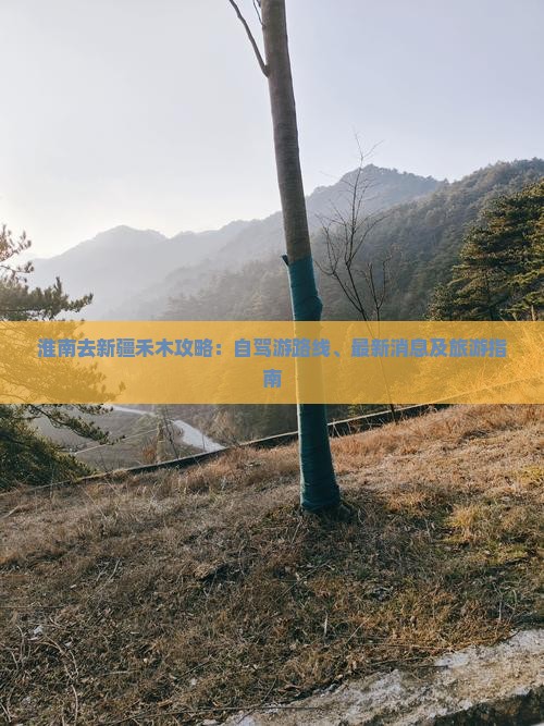 淮南去新疆禾木攻略