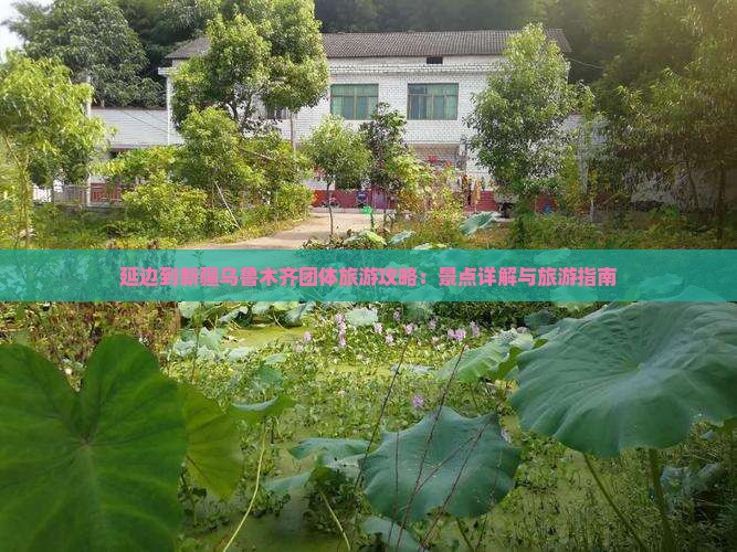 延边到新疆乌鲁木齐团体旅游
