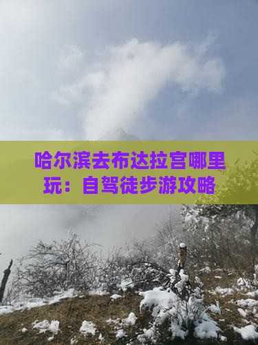 哈尔滨去布达拉宫哪里玩：自驾徒步游攻略