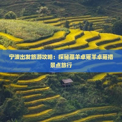 宁波出发旅游攻略：探秘藏羊卓雍羊卓雍措景点旅行