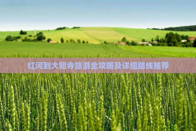 红河到大昭寺旅游全攻略及详细路线推荐