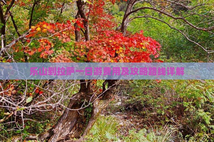 乐山到拉萨一日游费用及攻略路线详解