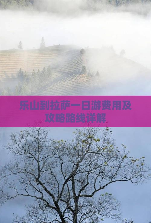 乐山到拉萨一日游费用及攻略路线详解