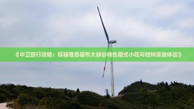 《中卫旅行攻略：探秘雅鲁藏布大峡谷特色藏式小吃与独特美食体验》