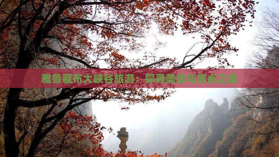 雅鲁藏布大峡谷旅游：探寻美食与景点之美