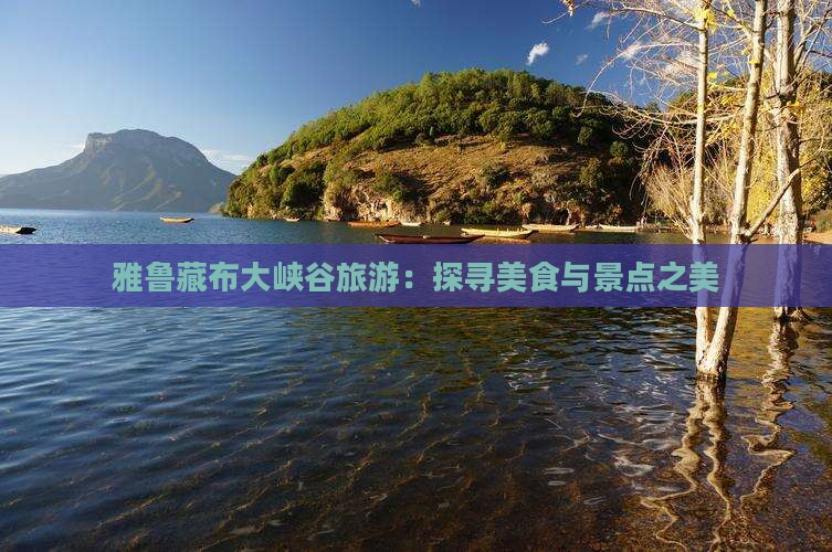 雅鲁藏布大峡谷旅游：探寻美食与景点之美