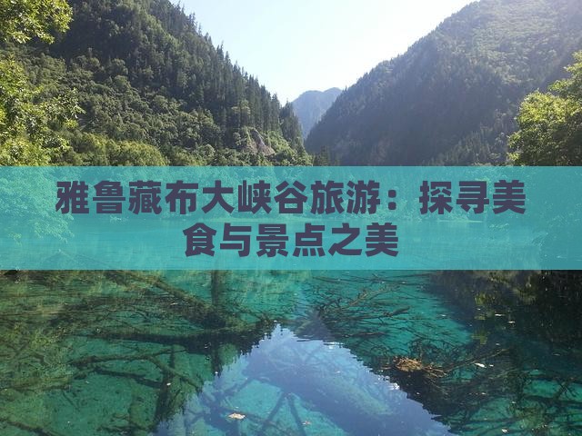 雅鲁藏布大峡谷旅游：探寻美食与景点之美