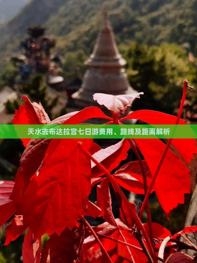 天水去布达拉宫七日游费用、路线及距离解析