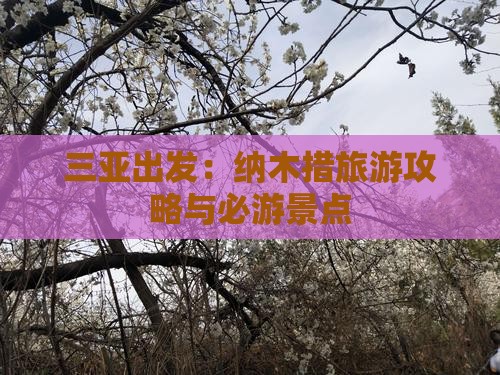 三亚出发：纳木措旅游攻略与必游景点