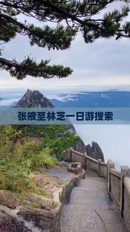 张掖至林芝一日游搜索