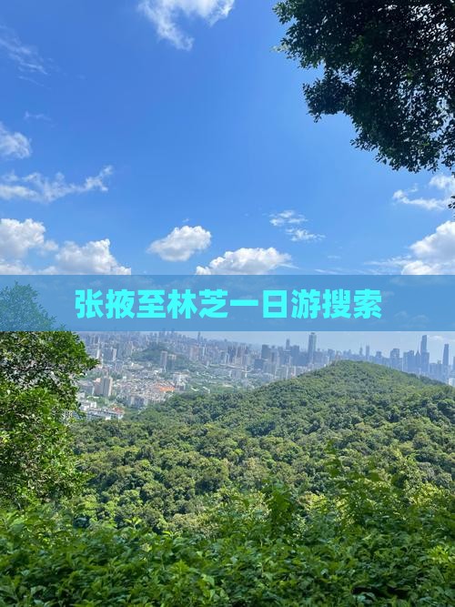 张掖至林芝一日游搜索