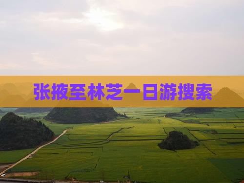 张掖至林芝一日游搜索