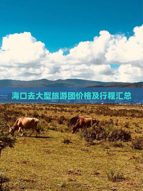 海口去大型旅游团价格及行程汇总
