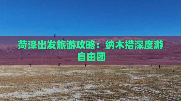 菏泽出发旅游攻略：纳木措深度游自由团