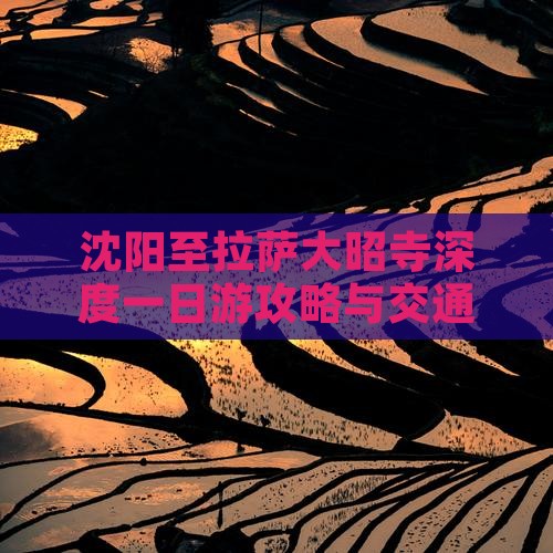 沈阳至拉萨大昭寺深度一日游攻略与交通