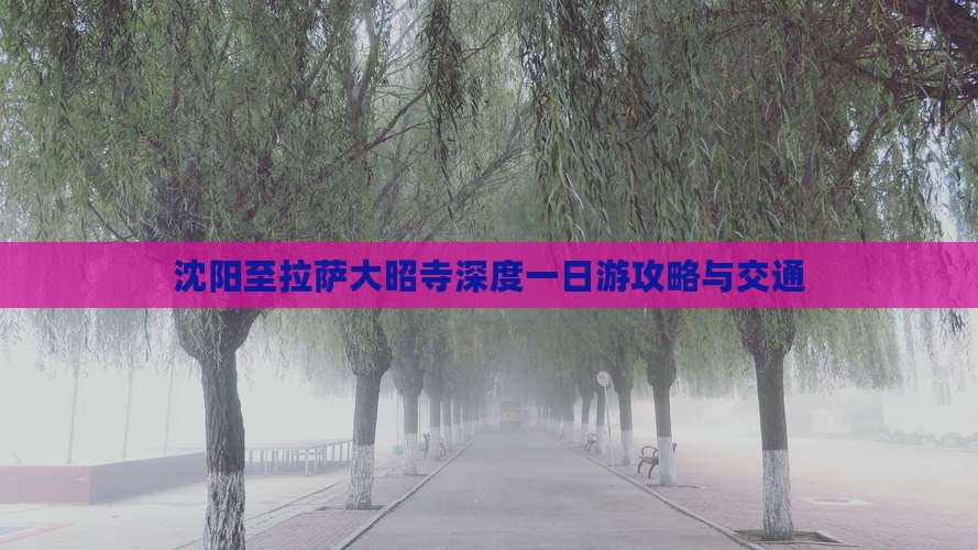 沈阳至拉萨大昭寺深度一日游攻略与交通