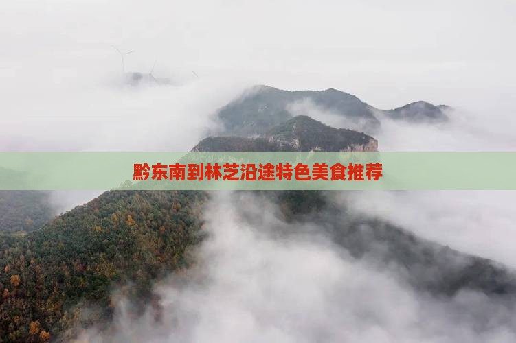 黔东南到林芝沿途特色美食推荐