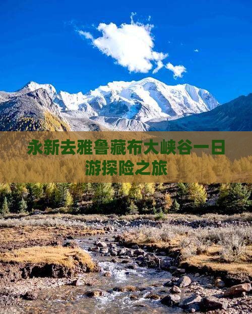 永新去雅鲁藏布大峡谷一日游探险之旅