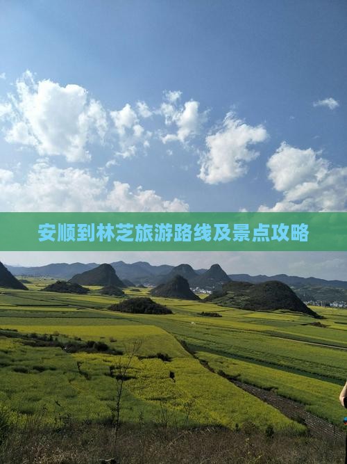 安顺到林芝旅游路线及景点攻略