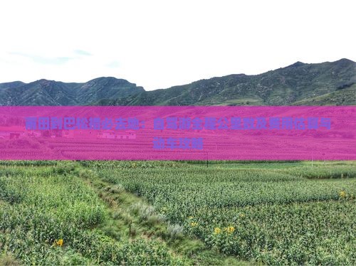 莆田到巴松措必去地：自驾游全程公里数及费用估算与动车攻略