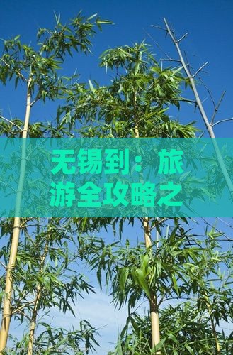 无锡到：旅游全攻略之卡定沟团体旅游推荐