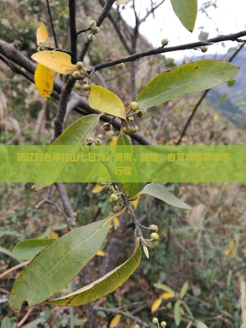 通辽到色季拉山七日游：费用、路线、自驾攻略及详细行程