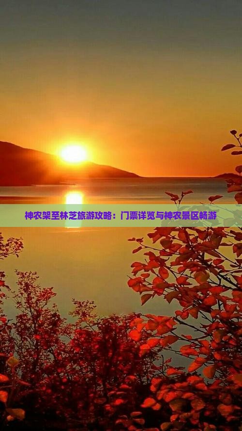 神农架至林芝旅游攻略：门票详览与神农景区畅游