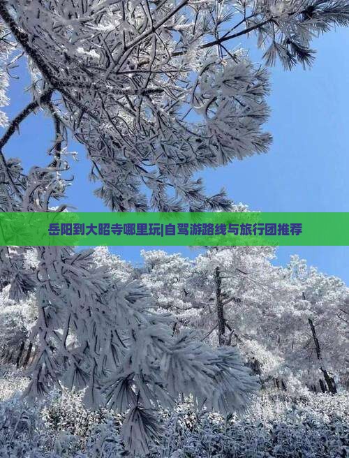 岳阳到大昭寺哪里玩|自驾游路线与旅行团推荐