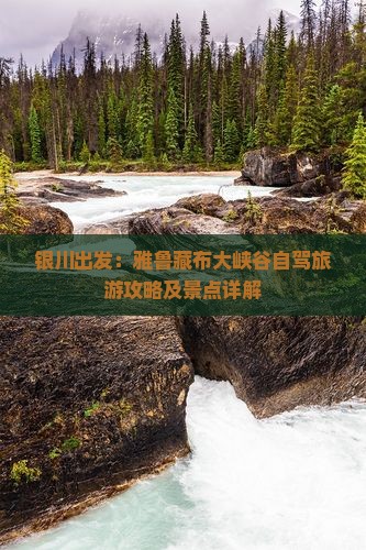 银川出发：雅鲁藏布大峡谷自驾旅游攻略及景点详解