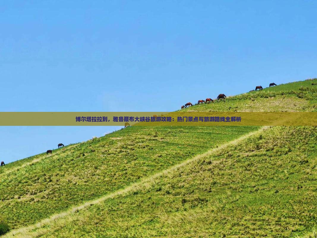 博尔塔拉拉到，雅鲁藏布大峡谷旅游攻略：热门景点与旅游路线全解析