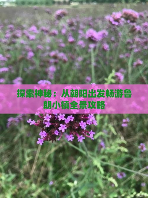 探索神秘：从朝阳出发畅游鲁朗小镇全景攻略