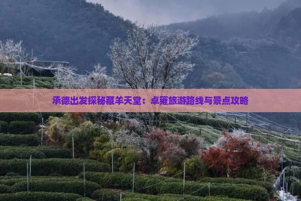 承德出发探秘藏羊天堂：卓雍旅游路线与景点攻略