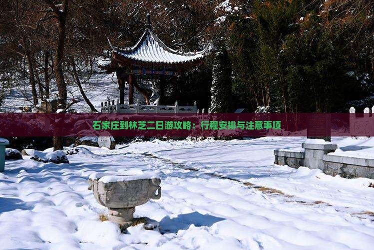 石家庄到林芝二日游攻略：行程安排与注意事项