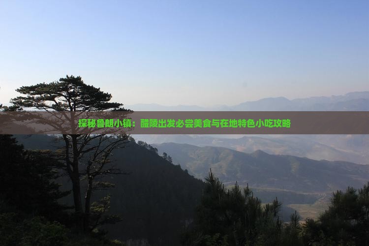 探秘鲁朗小镇：醴陵出发必尝美食与在地特色小吃攻略