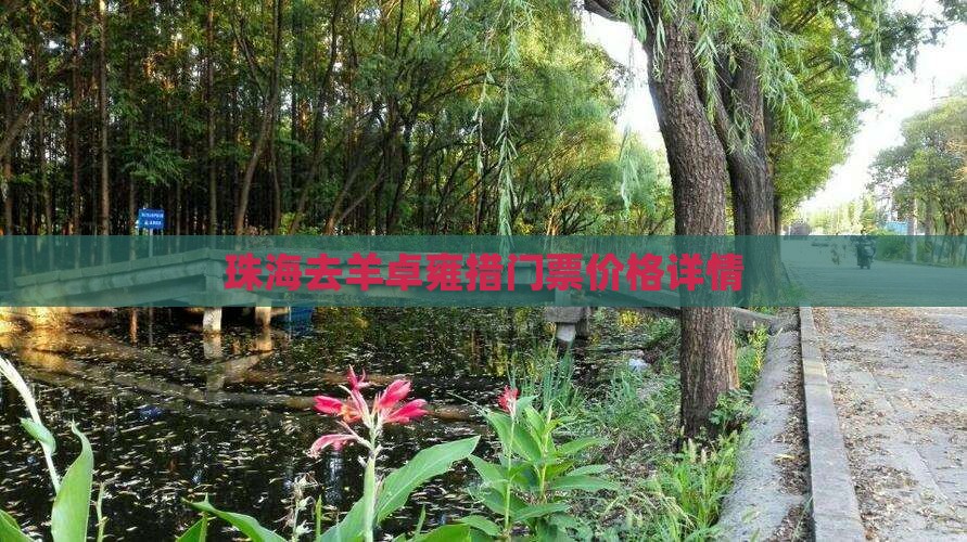 珠海去羊卓雍措门票价格详情