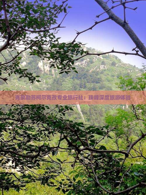 克孜勒苏柯尔克孜专业旅行社：珠峰深度旅游体验