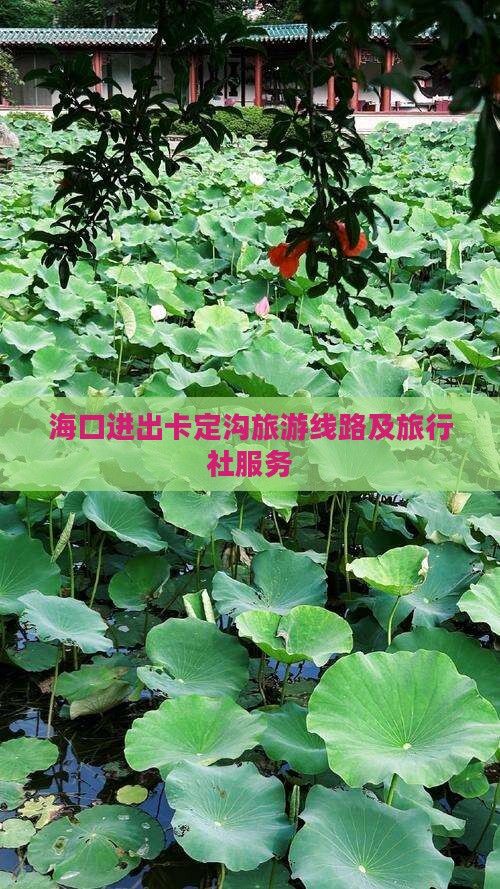 海口进出卡定沟旅游线路及旅行社服务
