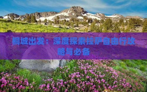 桐城出发：深度探索拉萨自由行攻略与必备