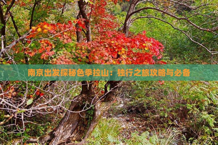 南京出发探秘色季拉山：独行之旅攻略与必备