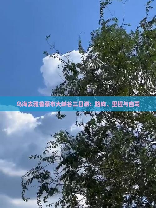 乌海去雅鲁藏布大峡谷三日游：路线、里程与自驾
