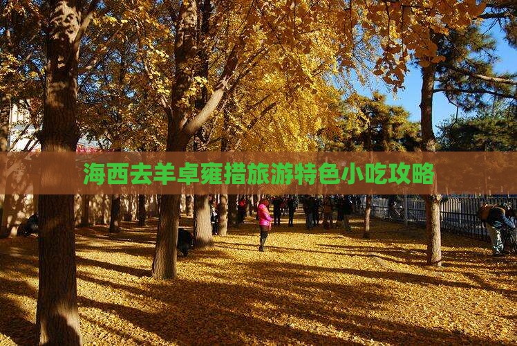 海西去羊卓雍措旅游特色小吃攻略