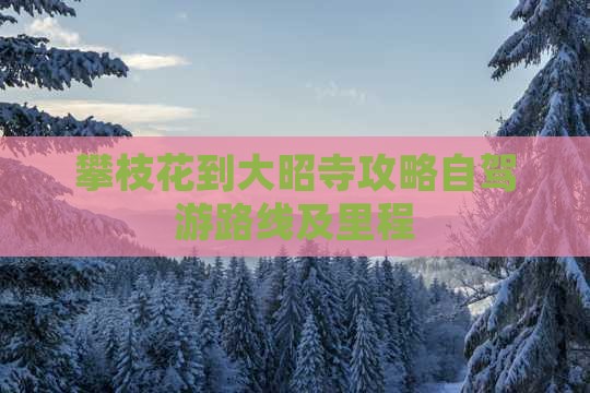 攀枝花到大昭寺攻略自驾游路线及里程