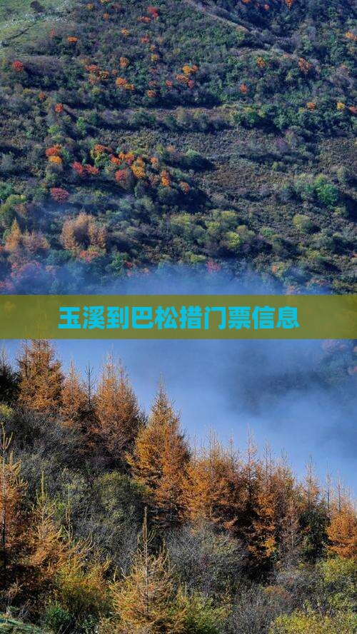 玉溪到巴松措门票信息