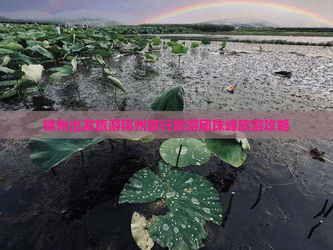 锦州出发旅游锦州旅行旅游团珠峰旅游攻略